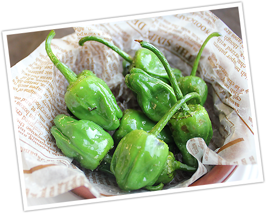 Tono-Padron peppers