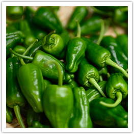 Tono-Padron peppers（raw）